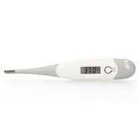 Digital thermometer Grey