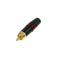 NTR-NYS373-2