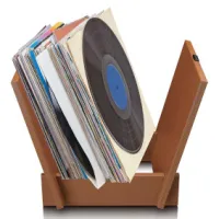 Organizer for up to 40 records Brown