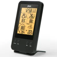 Professional weather station with wireless sensor Black