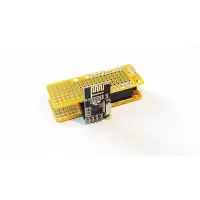 PRO-1010