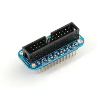RPI-462