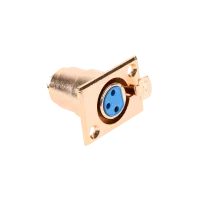 Naissoost kuldne mikrofonipesa