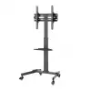 Mobile TV stand - stand with shelf