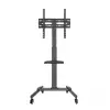 Mobile TV stand - stand with shelf