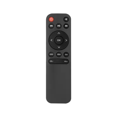 Projector remote