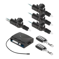 Peiyingi auto kesklukustussüsteem koos kaugjuhtimispuldiga (1+3+2 pulti)