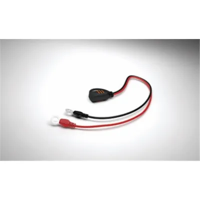CTEK Comfort Connect Eyelet M8 silmus
