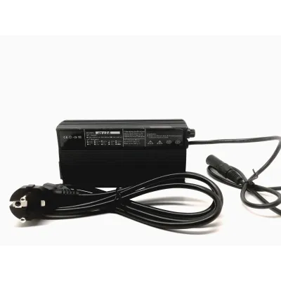 48V 3A 3-pin laadija