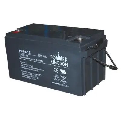 Power Kingdom 12V 65Ah pliiaku (350 x 167 x 179 mm) T12/M6