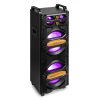 LIVE2102 Party Station 2x 10" 800W