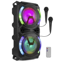 LIVE280 Karaoke Station 2x 8”