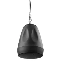 Подвесной громкоговоритель PDS65B 100В 6,5” черный