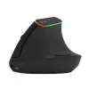 Juhtmevaba vertikaalne hiir Delux M618DB BT4.0 + 2.4Ghz 4000DPI RGB