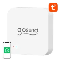 G2