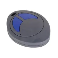 2-КАНАЛЬНЫЙ RF SAW ПЕРЕДАТЧИК