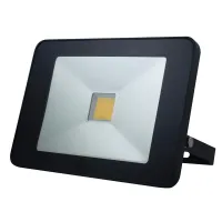 Светодиодный прожектор с датчиком движения - 50 Вт, нейтральный белый