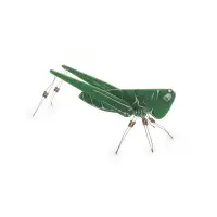 WSAK207