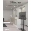 TV Floor Stand Basic (Size L)