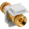 Keystone Module Speaker