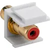Keystone Cinch/RCA Module