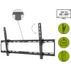 TV wall mount Basic TILT (XL)