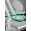 Replacement Table Clamp for Magnifying Lamps with Articulated Arm, white