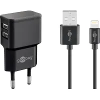 Dual Apple Lightning Charger Set (12 W)