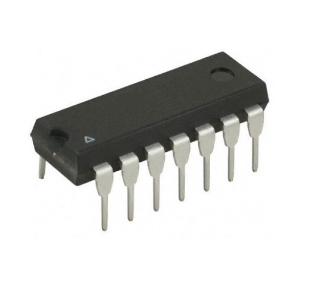 322025