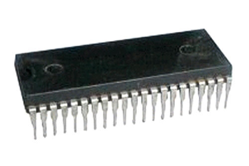 325019