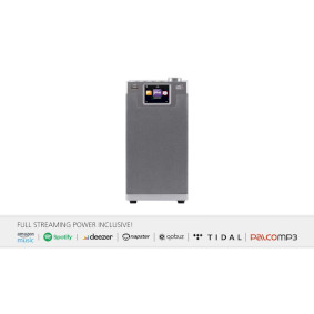 DABMAN i610 Многофункциональный стереорадиоприемник DAB+ / FM / Интернет / Bluetooth Серый