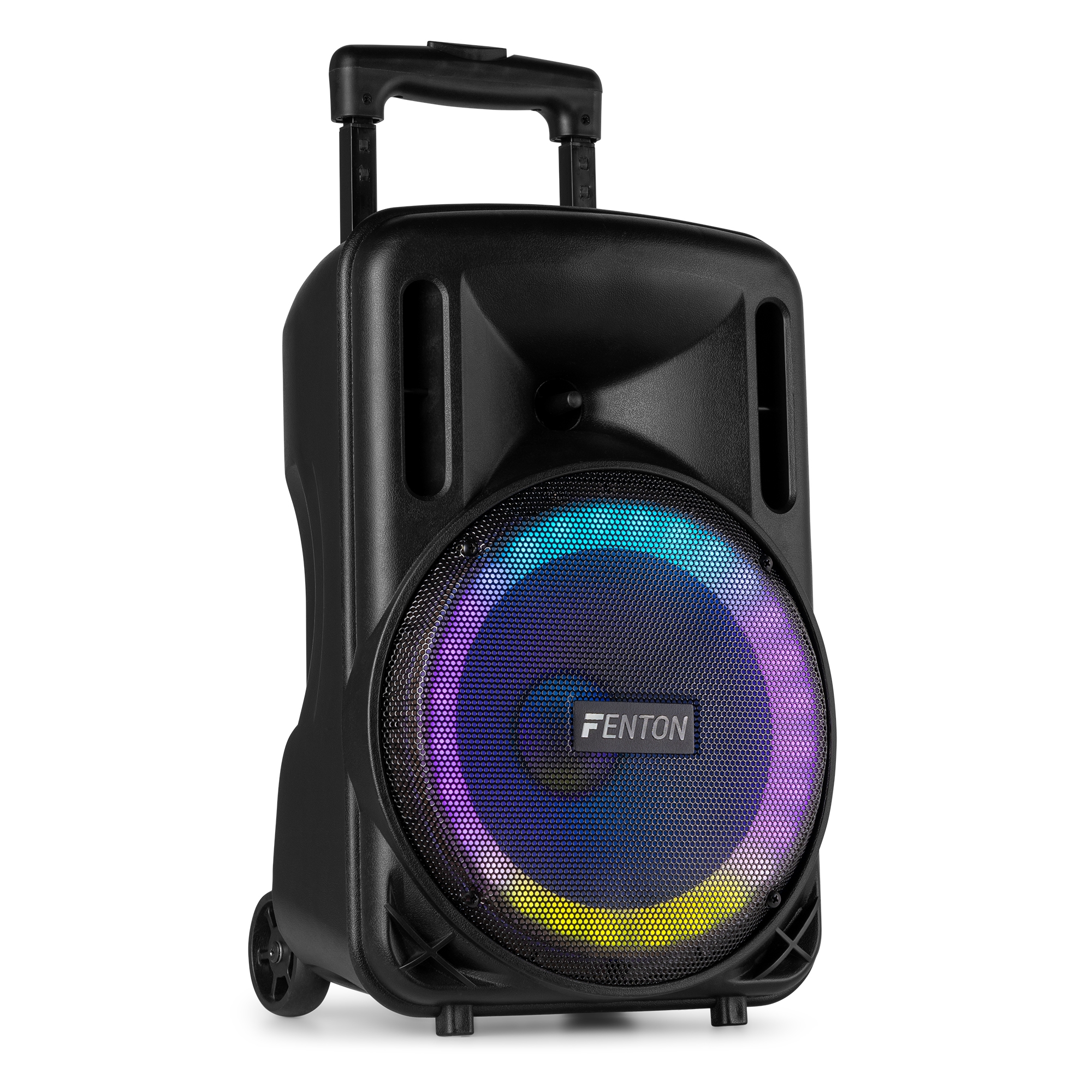 FT10LED MK2 kaasaskantav helisüsteem 10" 450W